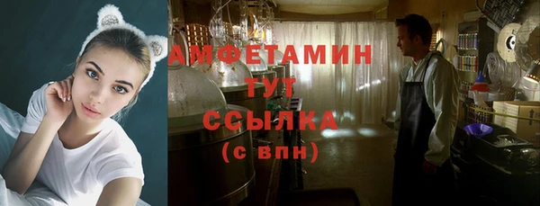 шишки Козельск