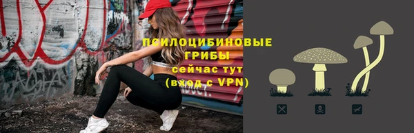 метадон Липки