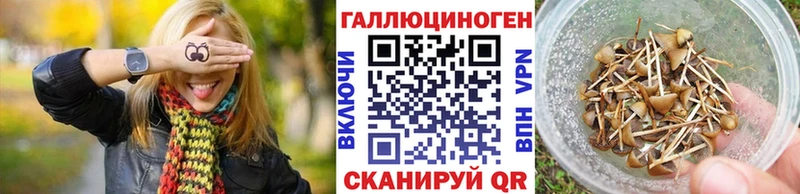 сколько стоит  нарко площадка клад  Псилоцибиновые грибы Psilocybe  Красноперекопск 