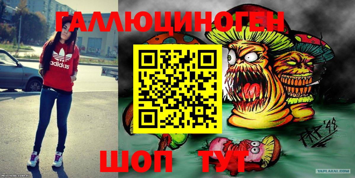 Галлюциногенные грибы Psilocybe Красноперекопск