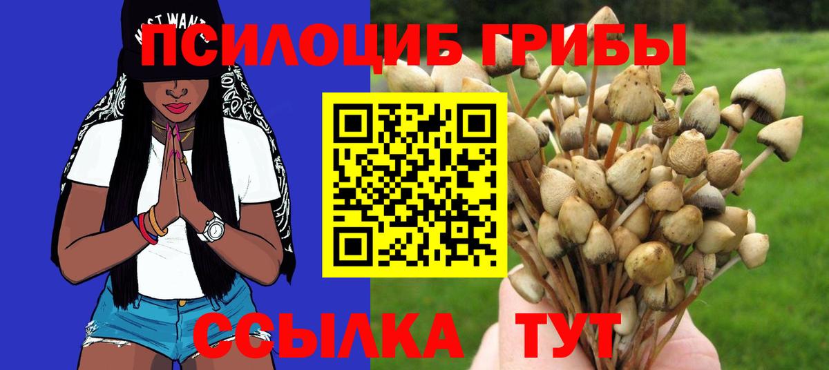 сколько стоит  Вход с VPN  Красноперекопск  Псилоцибиновые грибы Psilocybe  Галлюциногенные грибы GOLDEN TEACHER 